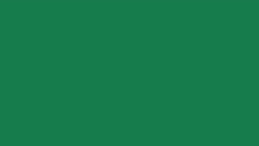 Christmas tree line on green background. Video flat cartoon animation design element. alpha channel transparency