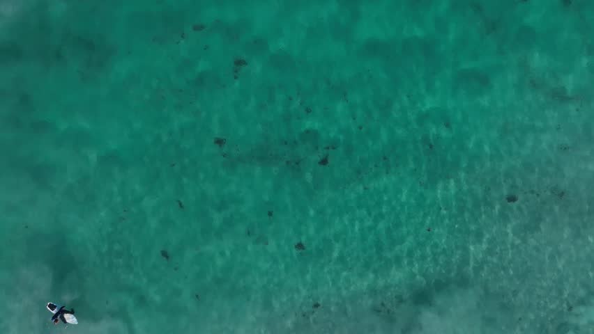Aerial view of people doing surf waiting for waves along Trigg Beach in Perth, Western Australia, Australia. Royalty-Free Stock Footage #1110415473