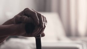 Elderly person's hand holding a walking stick. Senior man's hand hording an old wood cane to support himself as he walks, great details - Powered by Shutterstock - Get 15% off with code: PIKWIZARD15
