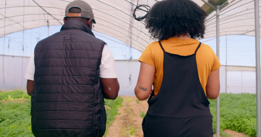 Back view of two farmers walking away from camera in greenhouse tunnel