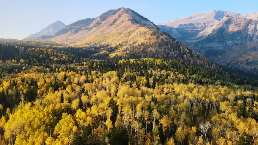 Establishing shot of the beautful fall leaves surrounding Mount Timpanogos, Utah
