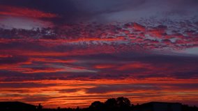 cloudy sky at sunrise. red sky with clouds at sunrise. panorama. 4k video, 50 fps.