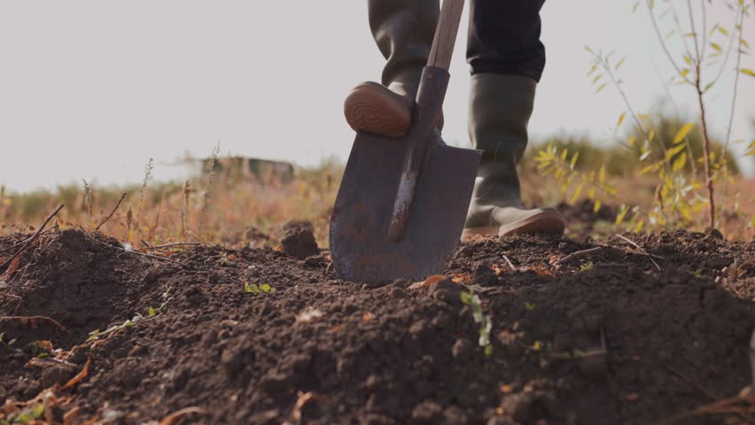 Grit and Determination A Farmer Hard Work Evident in the Close Up View of His Feet, Shovel, and the Earth He's Digging. Agricultural Labor Farmer Foot and Shovel in the Rural Field Royalty-Free Stock Footage #1110449777