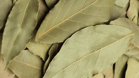 Dried green bay leaf, rotation in circle. bay leaf, spice Macro. vertical video