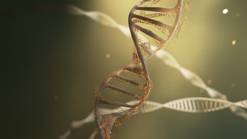 DNA helix with golden particles. Three strands are rotating, creating a mesmerizing visual effect. Scientific research and medical innovations in the field of genetics and molecular biology. - Powered by Shutterstock - Get 15% off with code: PIKWIZARD15