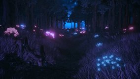 The Forest of the Glowing Flowers - Nature Landscape Loop Background	 - Powered by Shutterstock - Get 15% off with code: PIKWIZARD15
