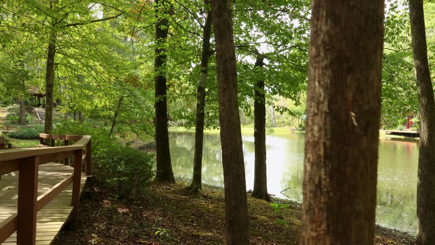 footage of a beautiful autumn landscape at Creekwood Gardens with a still green lake, lush green trees, grass and plants, brown wooden bridges in Simsboro Louisiana USA