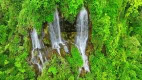 Enchanting Aerial View: Explore a mystical waterfall concealed within the lush emerald embrace of a tropical rainforest. A drone's eye unveils nature's hidden gem. Vibrant rainforest hideaway.

