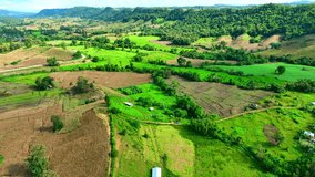 Agricultural hillscapes captured by drone reveal terraced fields on picturesque plateaus. Nature and farming coexist harmoniously. Cultivation concept. Thailand.
