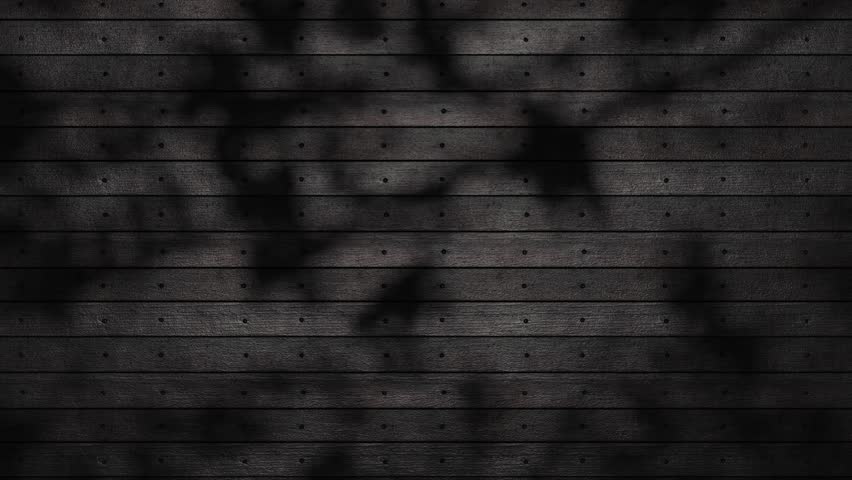 Looping animation of a falling shadow from tree branches on a black wall. Abstract dark shadow background of natural leaves tree branch falling on old wall. 4K UHD 3840x2160 3D profession render very  | Shutterstock HD Video #1110494691