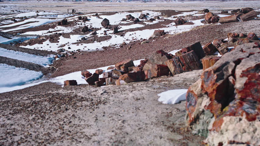 Gimbal shot of Petrified forest