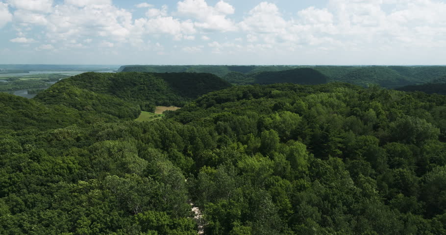 Aerial View Of Verdant Trees In The Forest In Great River Bluffs State Park In Minnesota, USA.