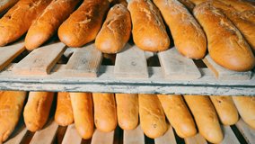 Freshly baked baguettes on the shelves in the bakery. Baking bakery products, loaves, baguettes. Close up - Powered by Shutterstock - Get 15% off with code: PIKWIZARD15