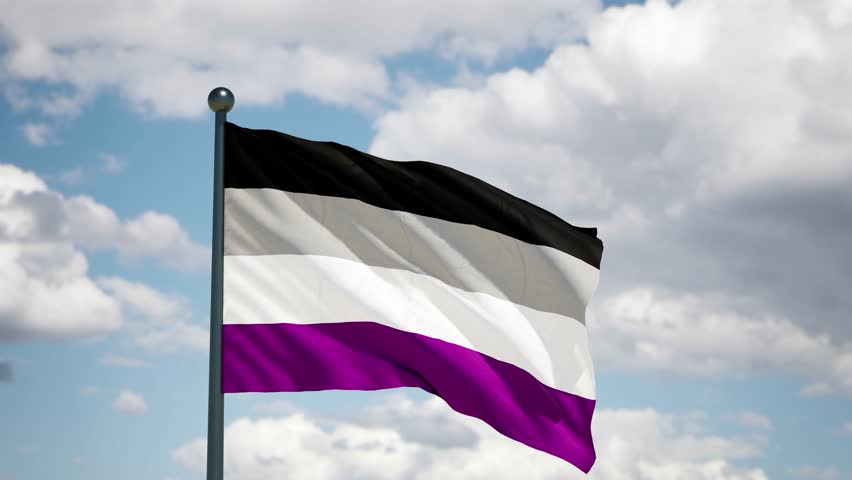 Asexual pride flag. Pride lgbtqi+ flag flutters on the wind . Cloudy sky background Royalty-Free Stock Footage #1110524441