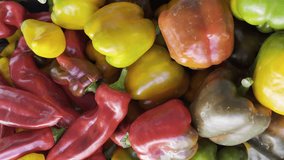 Vibrant red, yellow, and green bell peppers on display at a lively street market specializing in fresh fruits and vegetables
. Vertical Video