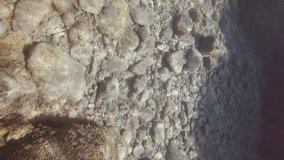 Vertical video, Rocky seabed covered with brown algae, Underwater seascape, Mediterranean Sea, Slow motion, panorama