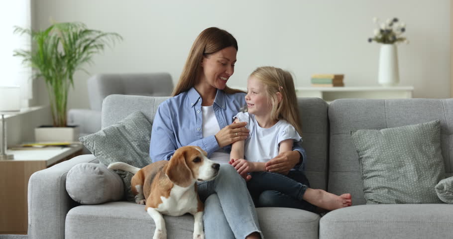 Cheerful pretty mom and sweet little child stroking adorable dog on cozy couch, playing with cute beagle at home. Happy mother enjoying motherhood, family leisure with preschool daughter and pet Royalty-Free Stock Footage #1110541939