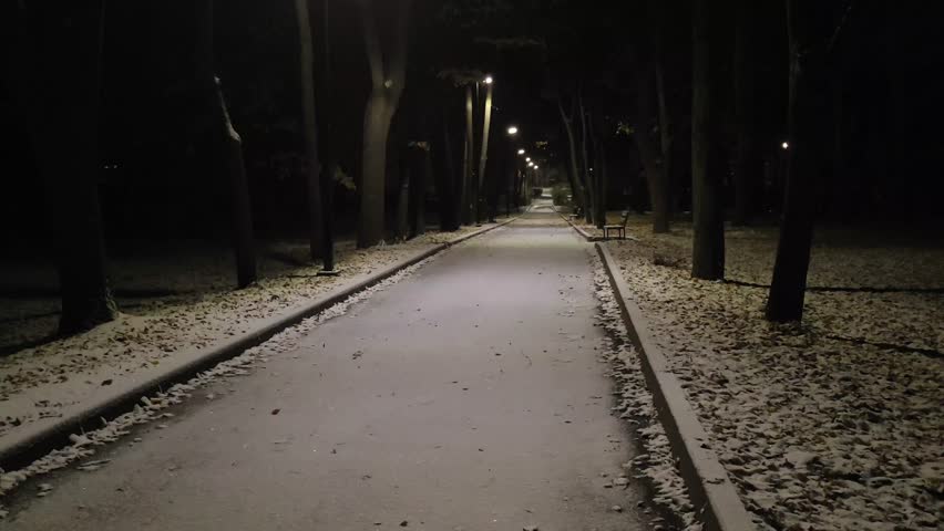 View of the alley of the park landscape after a snowfall night in the city