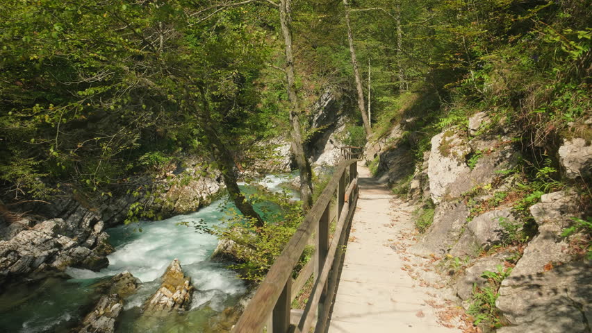 The Vintgar Gorge in Triglav National Park, Slovenia, is a stunning canyon with turquoise river water near Bled. It's known as Soteska Vintgar or Blejski Vintgar in Triglavski narodni park Royalty-Free Stock Footage #1110550613