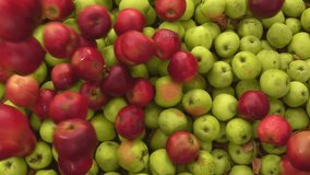Top view of the ripe delicious red apples falling on the green apples in slow motion. High quality FullHD footage - Powered by Shutterstock - Get 15% off with code: PIKWIZARD15