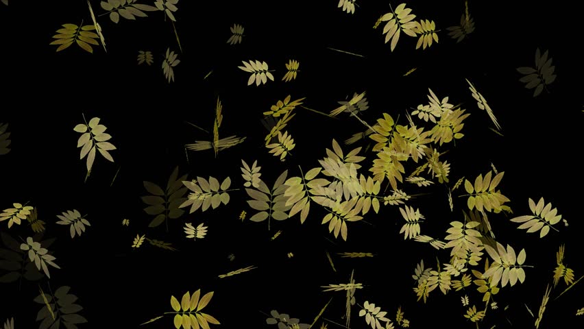 Fallen leaves on black background | Shutterstock HD Video #1110554431