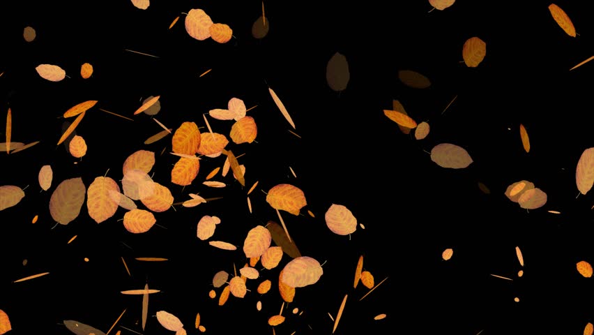Fallen leaves on black background | Shutterstock HD Video #1110554439