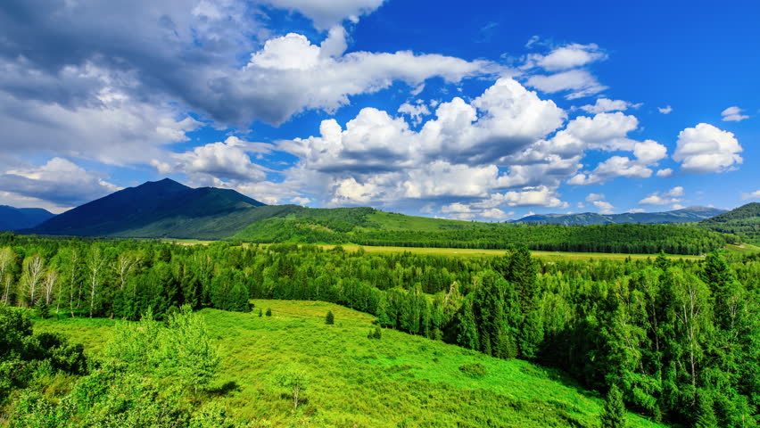 Green forest and mountain natural landscape in summer, Xinjiang, China. Meadow and forest with mountain range under blue sky