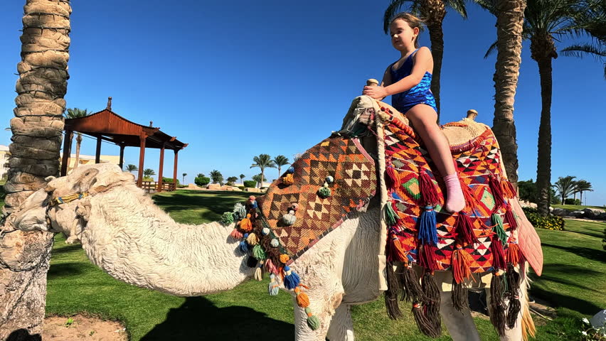 Egypt tourism with camel riding back, traditional entertainment. The little girl who is being walked in the alleys of the hotel