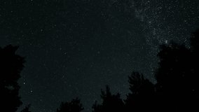 Time lapse of stars move above the silhouettes of trees around a polar star in night sky. Starry night background. Epic video 4K