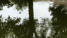Rain Drops on a Water Surface