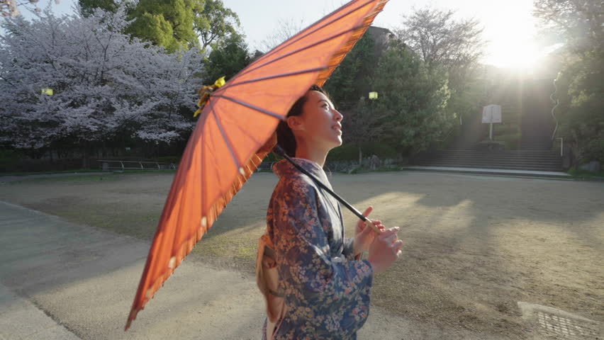 Geisha walking in Kyoto, Japan - Slow Motion