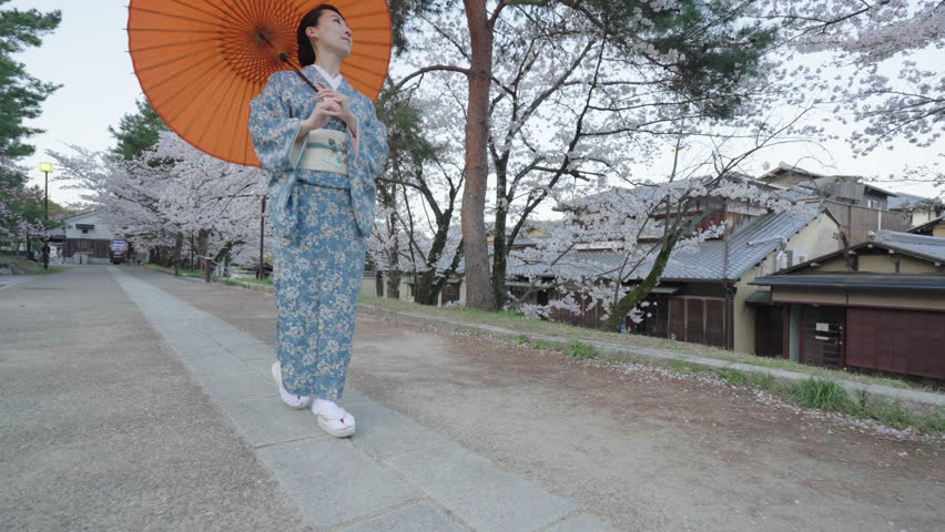 Geisha walking in Kyoto, Japan - Slow Motion