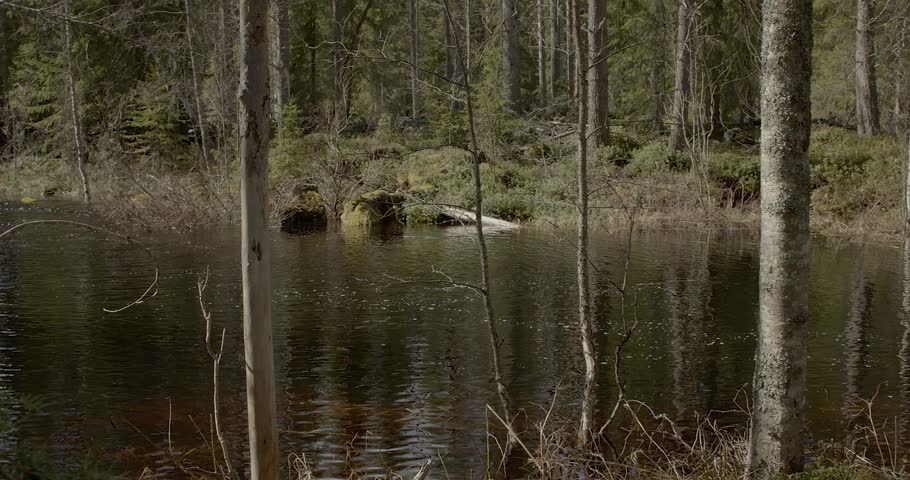 View of old Lounatkoski watermill in sunny spring weather, Hossa, Suomussalmi, Finland.