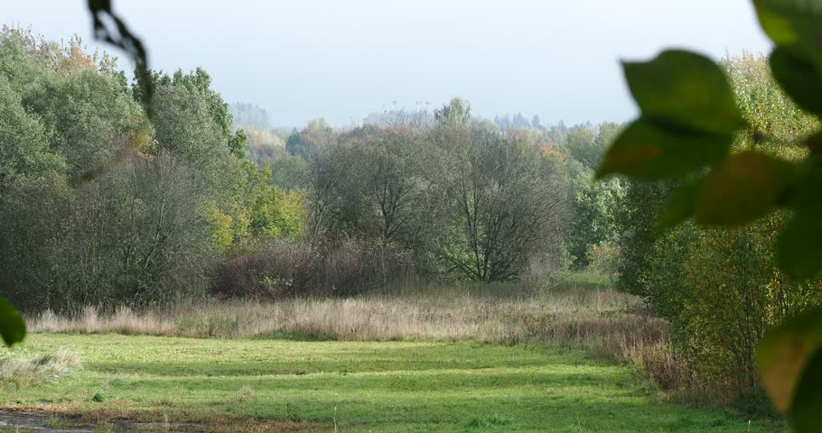 rural autumn landscape with road and field on farm Belarus
