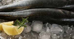 Sea bass with lemon and rosemary on a tray with ice on a dark background. 
Close-up footage on the rotating table.