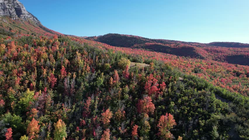 Provo Utah Fall Colors in the mountains of Utah. Utah Mountains fall colors. Provo Canyon Utah in the Fall. Red, yellow, and orange leaves. October in.