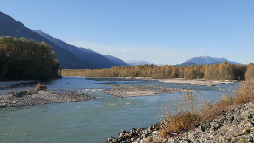 Beautiful view of the Squamish River during a fall season at the Eagle Run vista point in Brackendale, Squamish, British Columbia, Canada