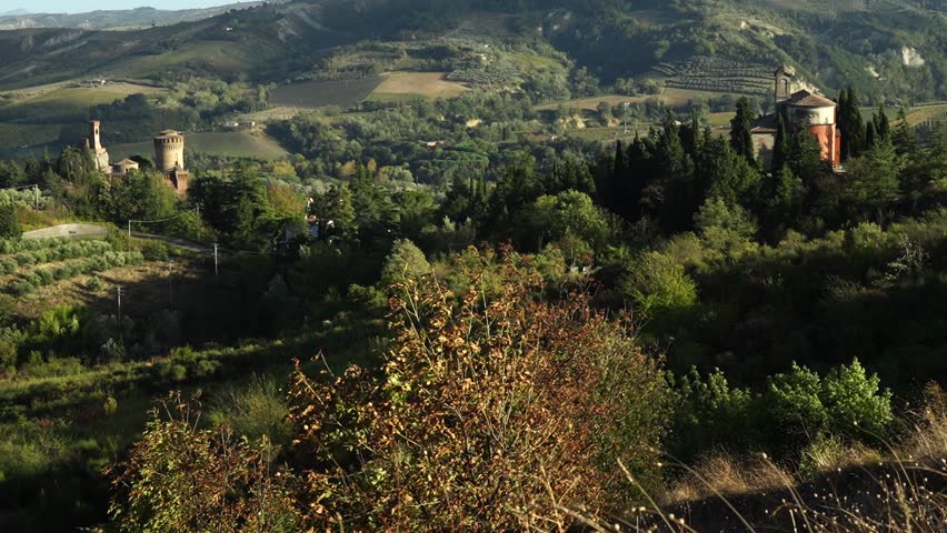 Rows of Sangiovese vines in the hills of Faenza, province of Ravenna. Emilia Romagna. Italy