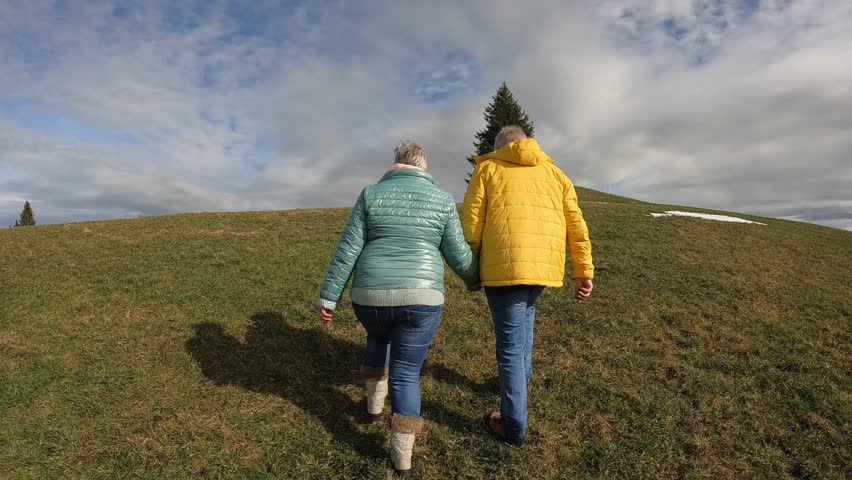 Senior couple holding hands during hiking winter day  Royalty-Free Stock Footage #1110592345