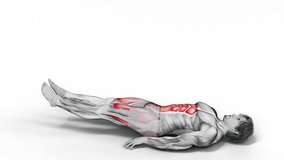 Lying Leg Raise-3D (021)-
Anatomy of fitness and bodybuilding with distinct active muscles-
150 frame Animation + 150 frame Alpha Matte
