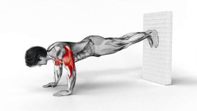 Decline Push-Up against Wall-3D (061)-
Anatomy of fitness and bodybuilding with distinct active muscles-
150 frame Animation + 150 frame Alpha Matte
