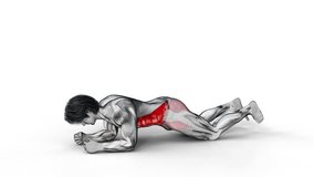 Kneeling plank-3D (071)-
Anatomy of fitness and bodybuilding with distinct active muscles-
150 frame Animation + 150 frame Alpha Matte
