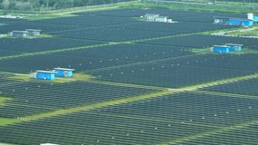 Nature's Embrace: Aerial view reveals a solar power plant seamlessly integrated into the landscape, with panels resembling leaves glistening under the sun. Sustainable power, a renewable revolution.
