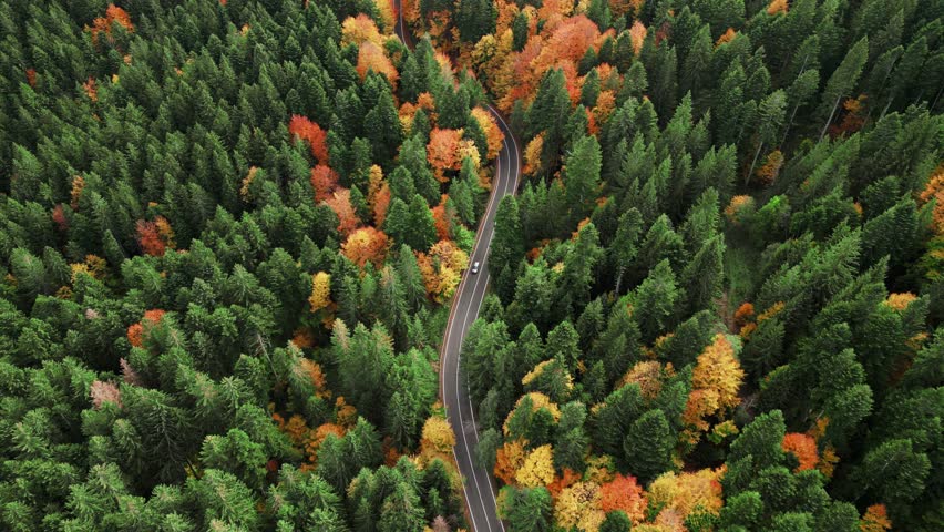 Top view above winding road during the autumn. Winding road in mountains. Autumn landscape. Incredible serpentine in the mountains. Drone flying over the road. Royalty-Free Stock Footage #1110604721
