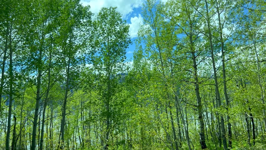 Driving through the Teton Mountain Range in Grand Teton National Park near Jackson Hole, Wyoming on a beautiful cloudy day.