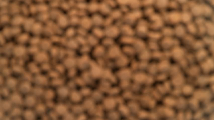 Super Slow Motion Shot of Dog Food Flying Towards Camera on White Background at 1000fps. Royalty-Free Stock Footage #1110636779