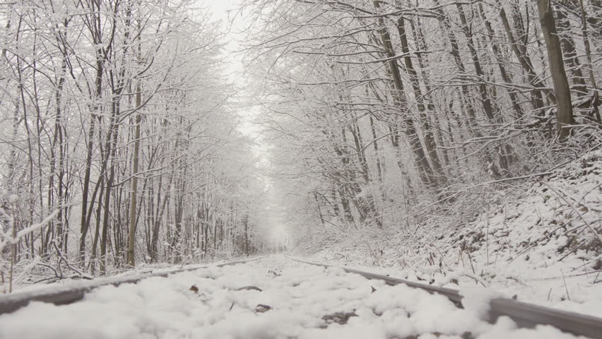 A mysterious forest in winter attire. Winter walk among the snowy trees. Clean snow and trees weighed down with a white fluffy cover. Forest landscape during winter vacation.