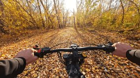 POV Autumn Ride in the Forest with Orange Fallen Leaves on a Electric Bike at Sunny Day. 60 fps, H.264, 8bit, Chroma Subsamlping 4:4:4 - Powered by Shutterstock - Get 15% off with code: PIKWIZARD15