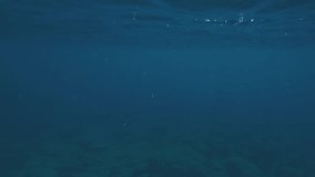 POV underwater shot, man swimming over rocky seabed under surface on blue water of Mediterranean sea. First person video, Close-up of guy paddling with his hands underwater, slow motion