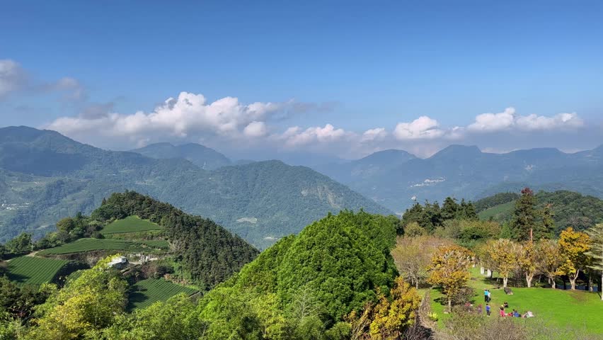 Emerald green woods and rice terraces, green mountains, blue sky and white clouds are connected. People play on the green grassland planted with golden trees.